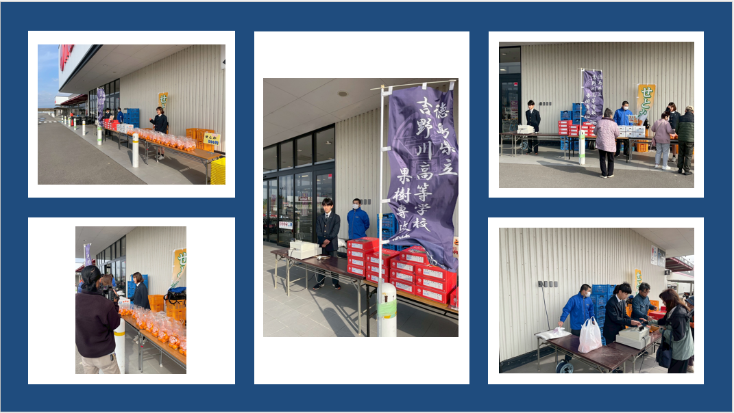 果樹販売実習　HP用